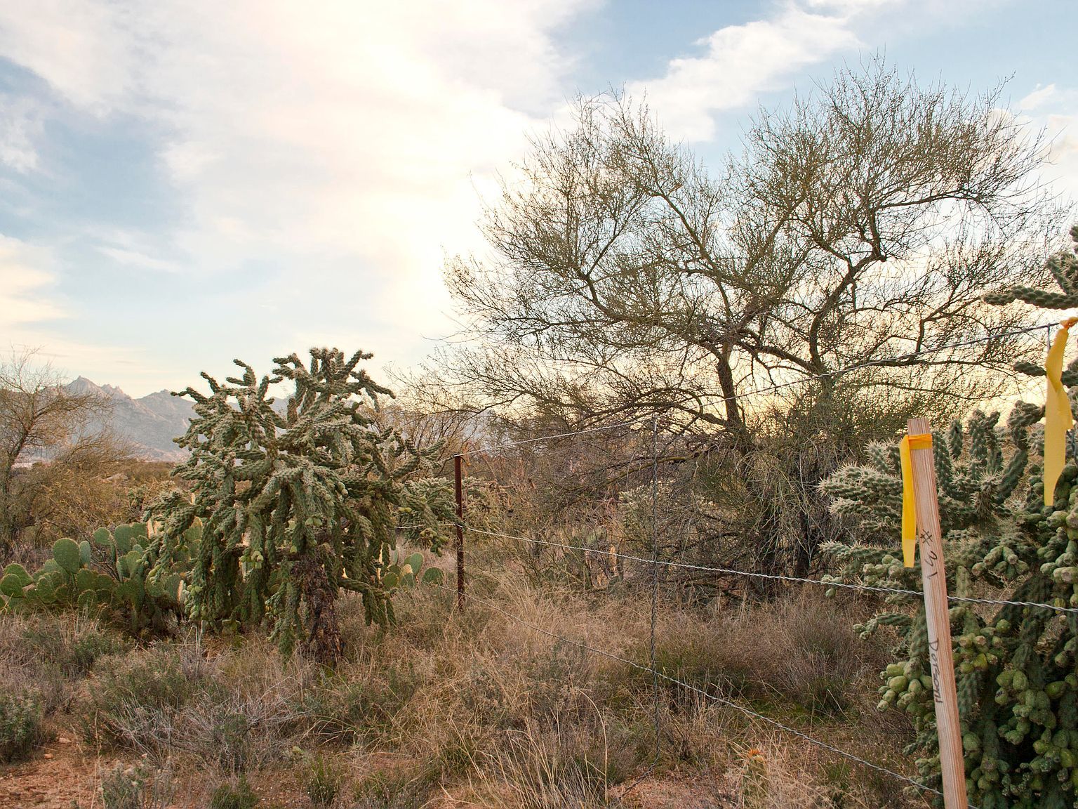 0 E Horseshoe Bend Rd #B Tucson, AZ 85739  | Land/Lot