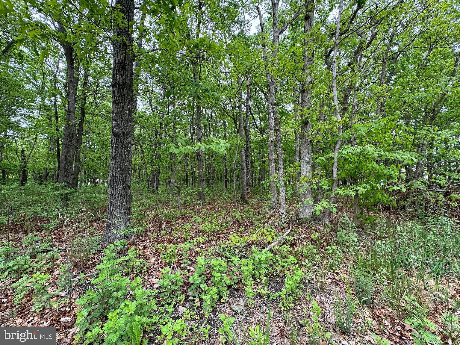 L15-02 S Ash Ave Absecon, NJ 08205  | Land/Lot