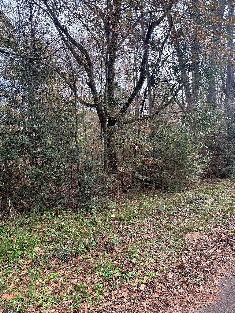 Pine St Chireno, TX 75937  | Land/Lot