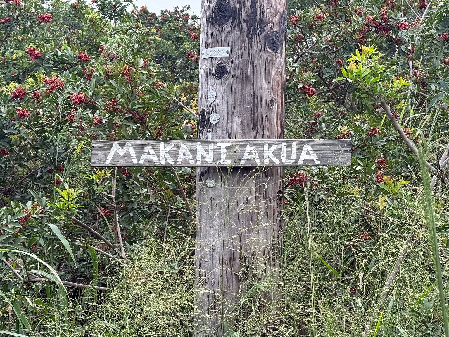 Makaniakua LOT 6 Naalehu, HI 96772 | Land/Lot