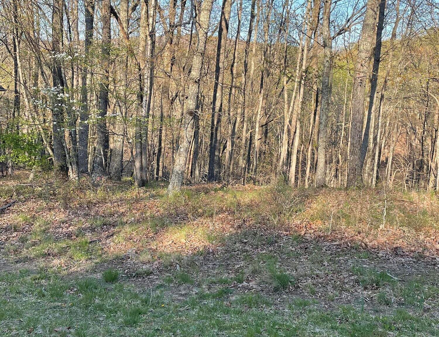 147 Havenridge Cir Fairfield Glade, TN 38558  | Land/Lot