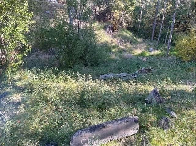 0 Deer Way LOT 2 Lake Arrowhead, CA 92352 | Land/Lot