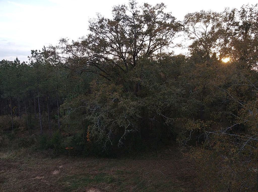 0 Rock House Rd Greenwood, SC 29646  | Land/Lot