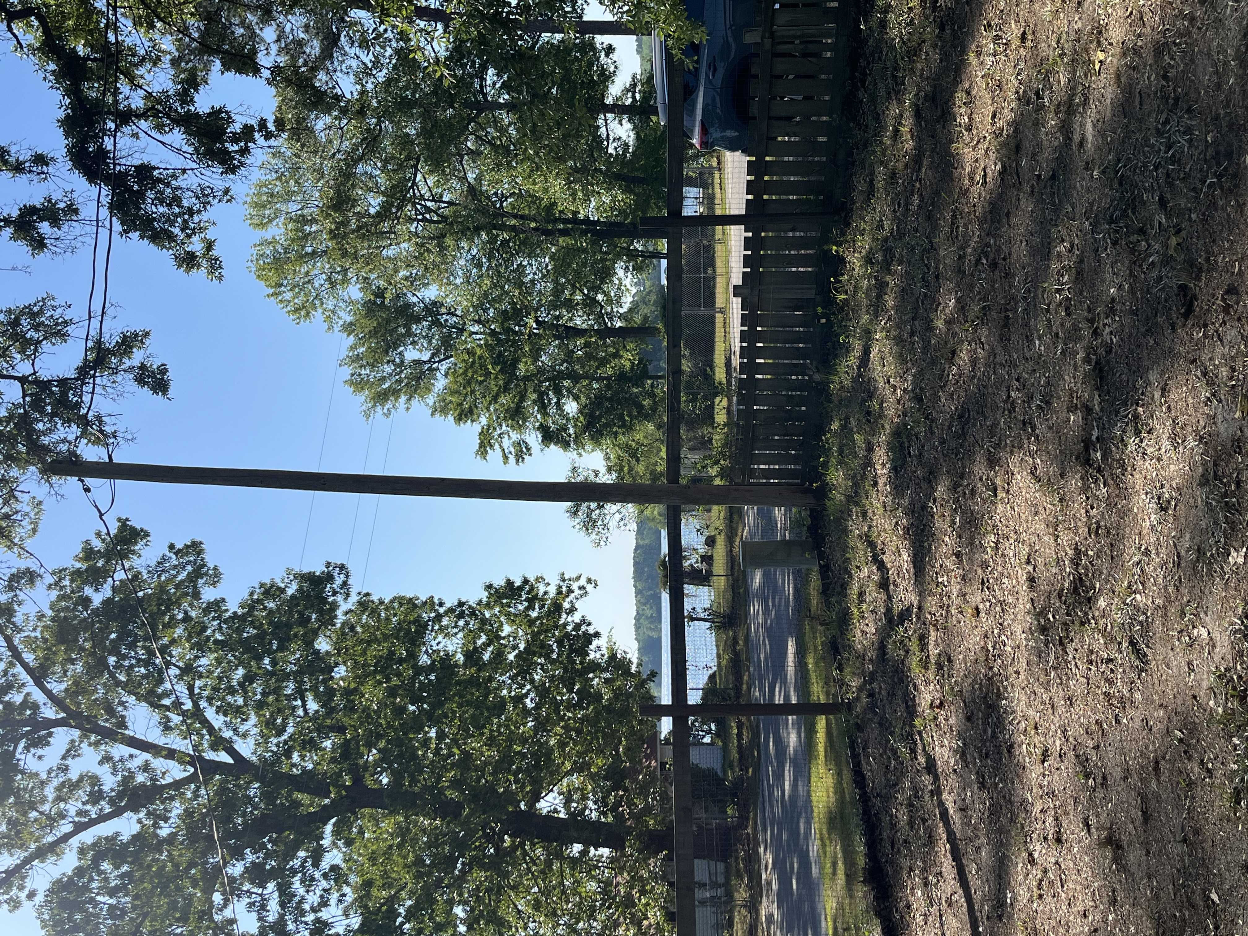 2124 Lake Marion Shores Road, Summerton, SC, USA, 29148  | Single Family