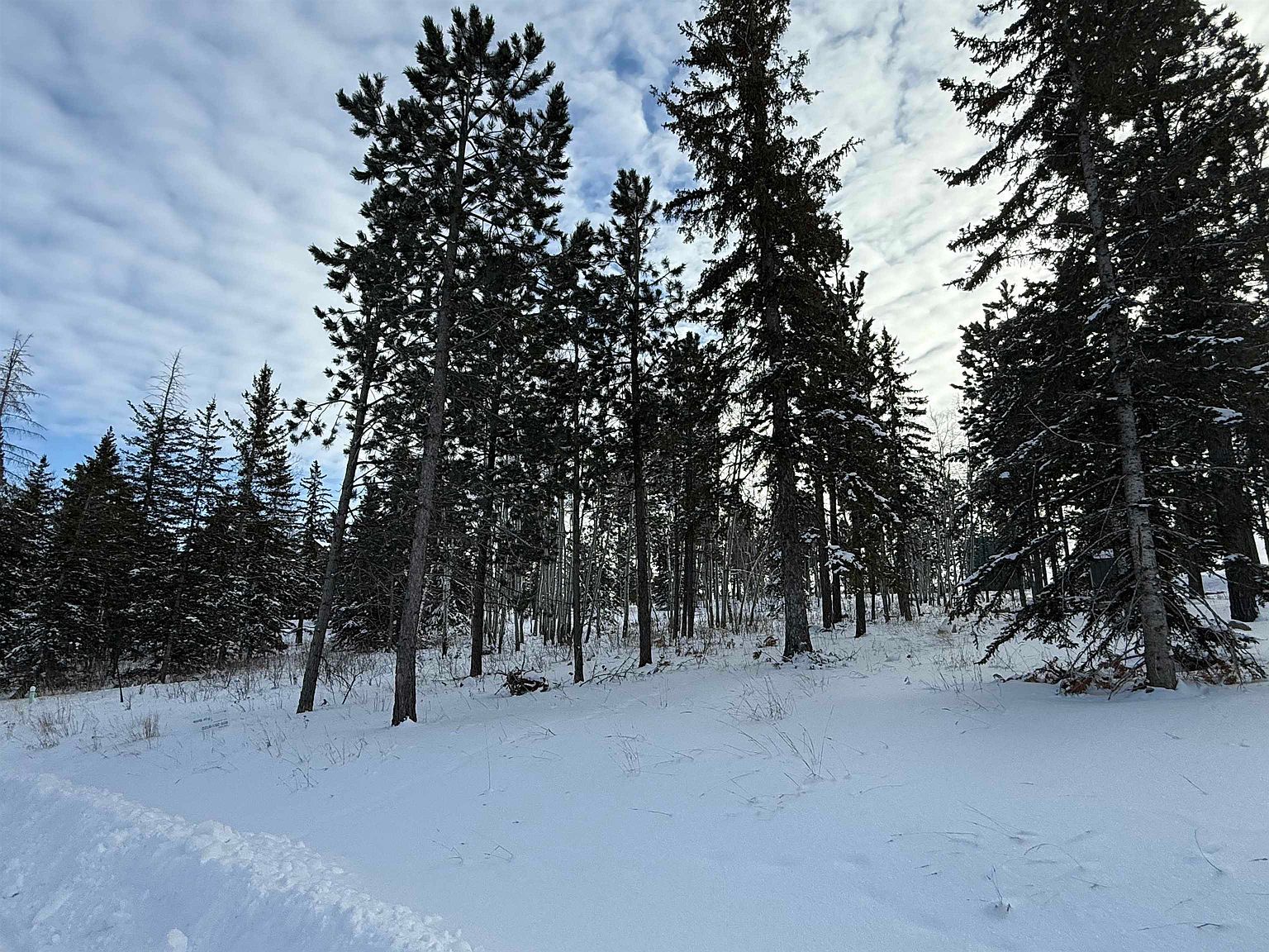 31 Smokey Stoke Ct Lead, SD 57754  | Land/Lot