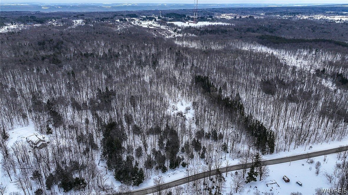 Bleistein Rd Lot 44 Colden, NY 14033  | Land/Lot