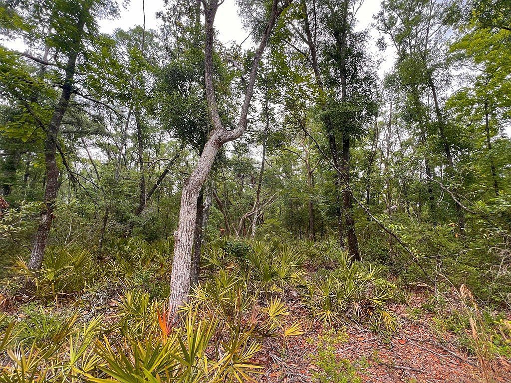 110 NE 770th St Old Town, FL 32680  | Land/Lot