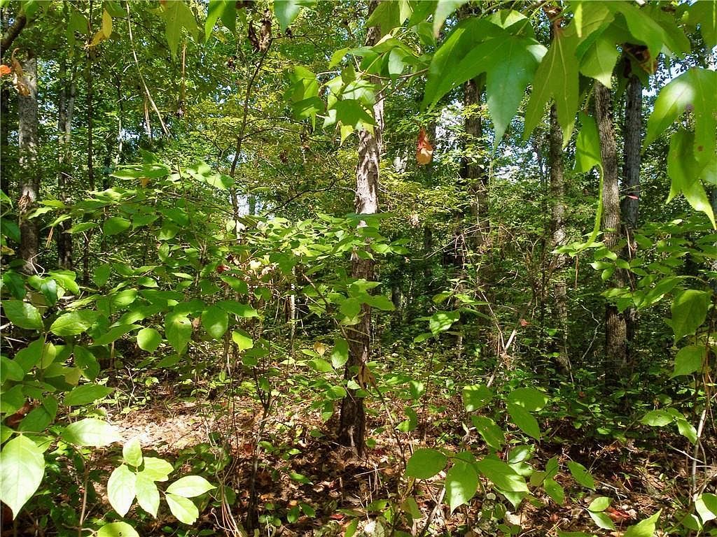 350 Hummingbird Dr #56 Monticello, GA 31064 | Land/Lot