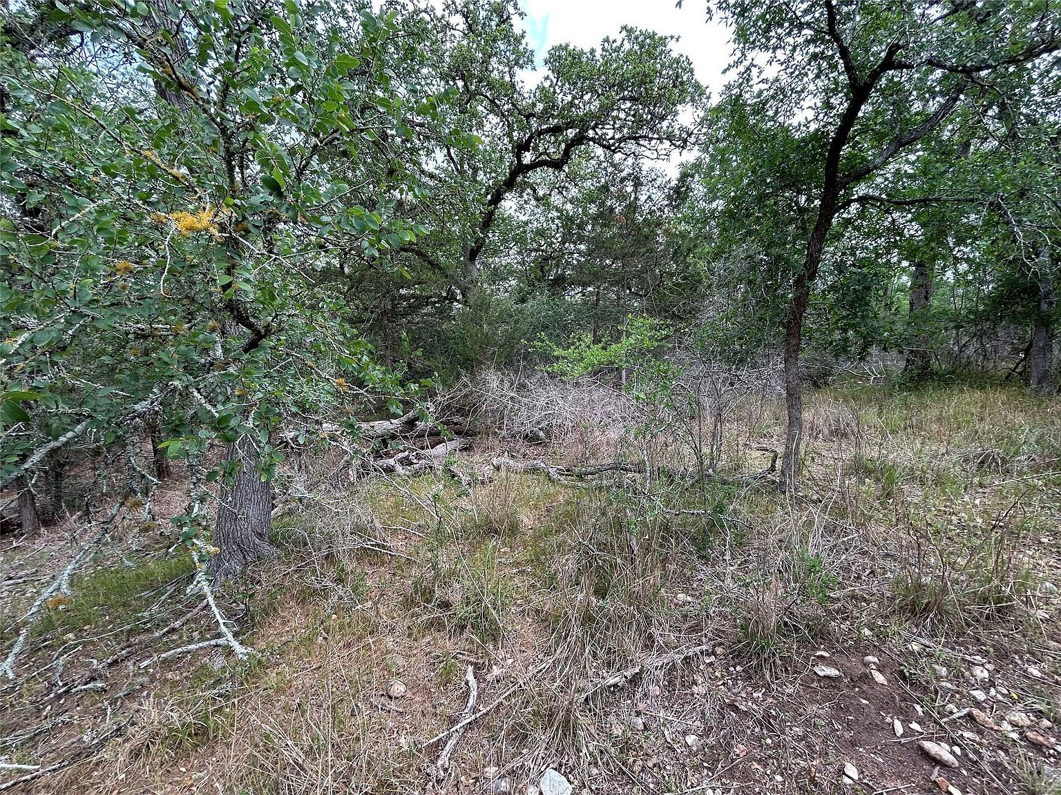 LOT 54 Rick Rd La Grange, TX 78945  | Land/Lot