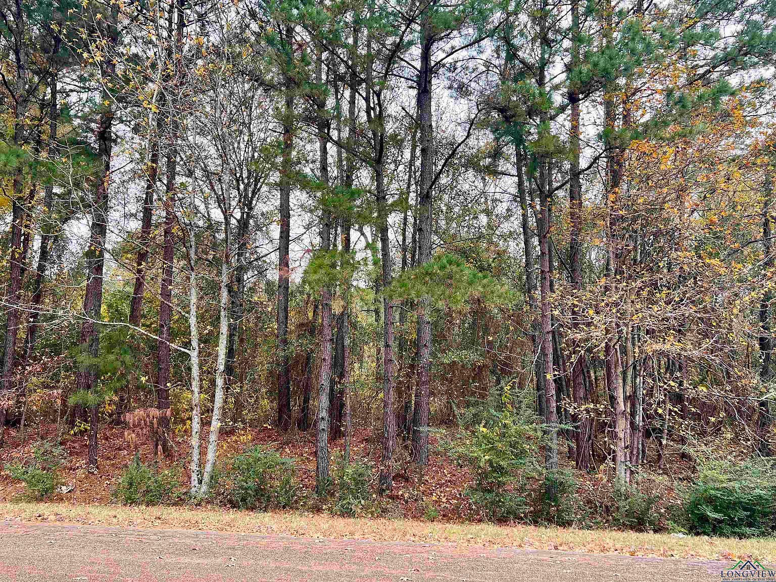 390 Tbd Loop Marshall, TX 75672  | Land/Lot