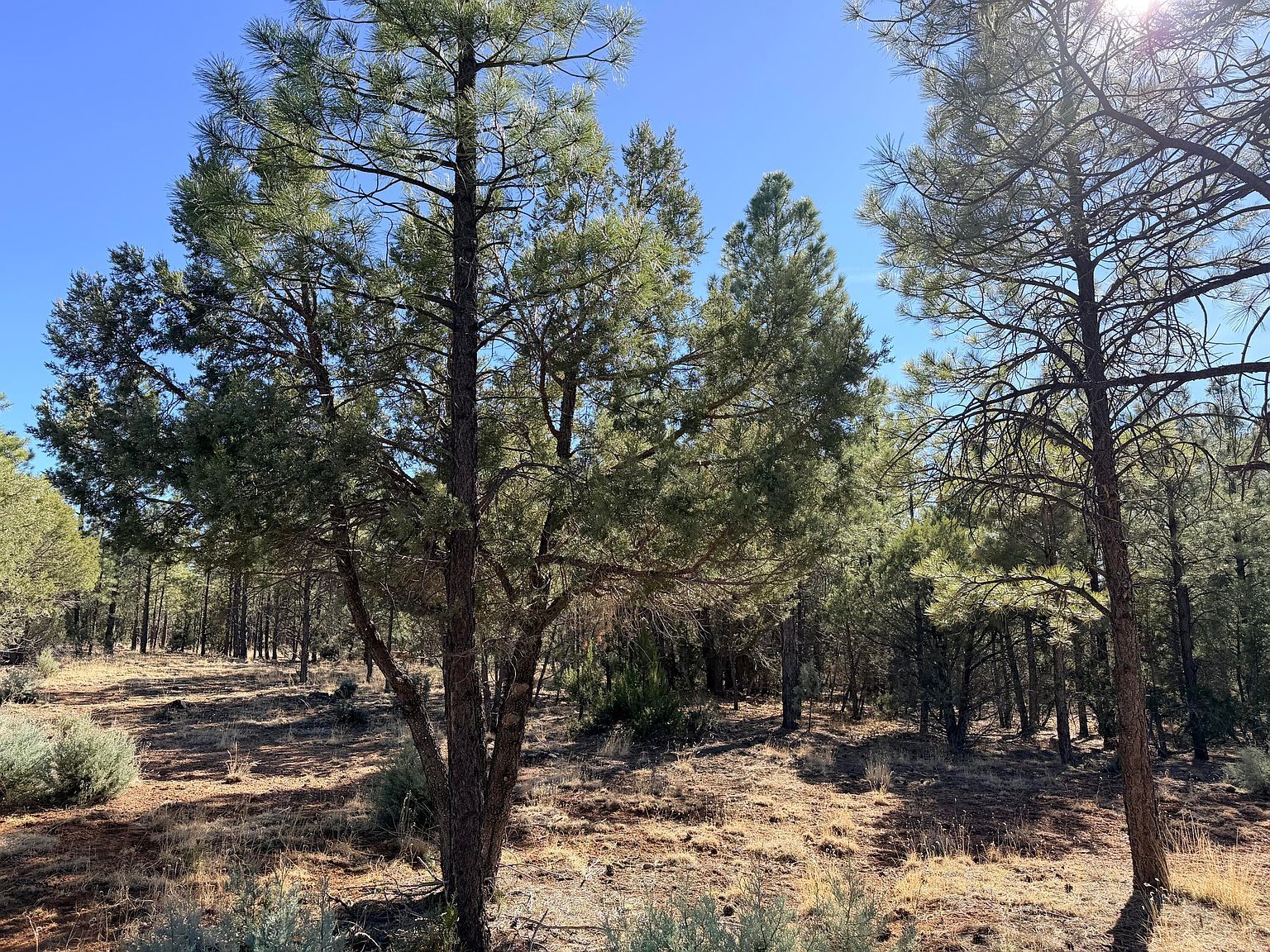 2397 Wigeon Way Happy Jack, AZ 86024  | Land/Lot