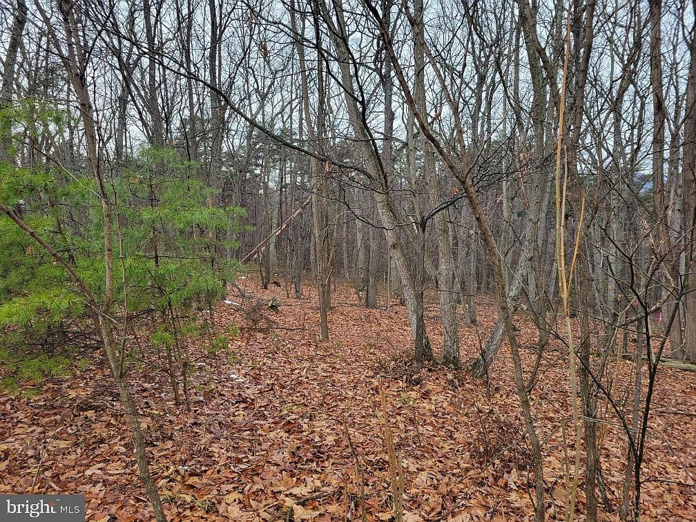 2 N Timber Ridge Rd Cross Junction, VA 22625  | Land/Lot