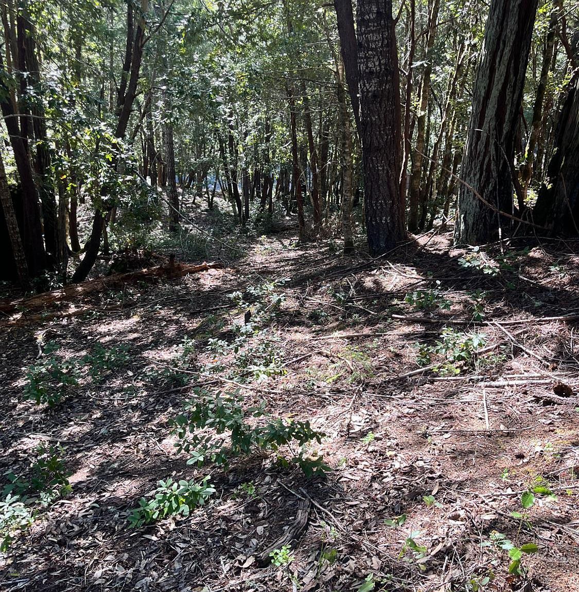 25143 Blue Jay Pl Willits, CA 95490  | Land/Lot