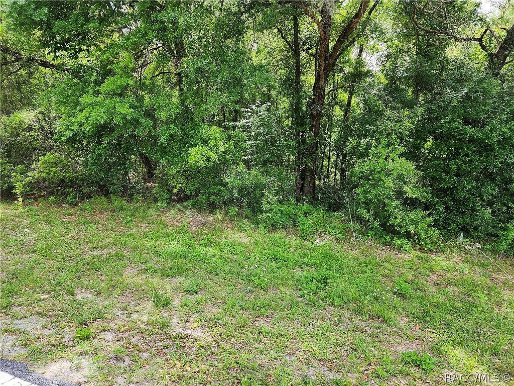 1640 W Lorraine Dr Citrus Springs, FL 34434  | Land/Lot