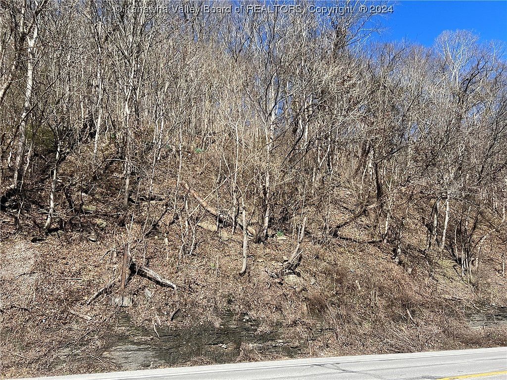 7245 E Dupont Ave Glasgow, WV 25086 | Land/Lot