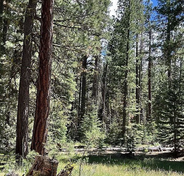 LOT 4 93 Alturas, CA 96101  | Land/Lot