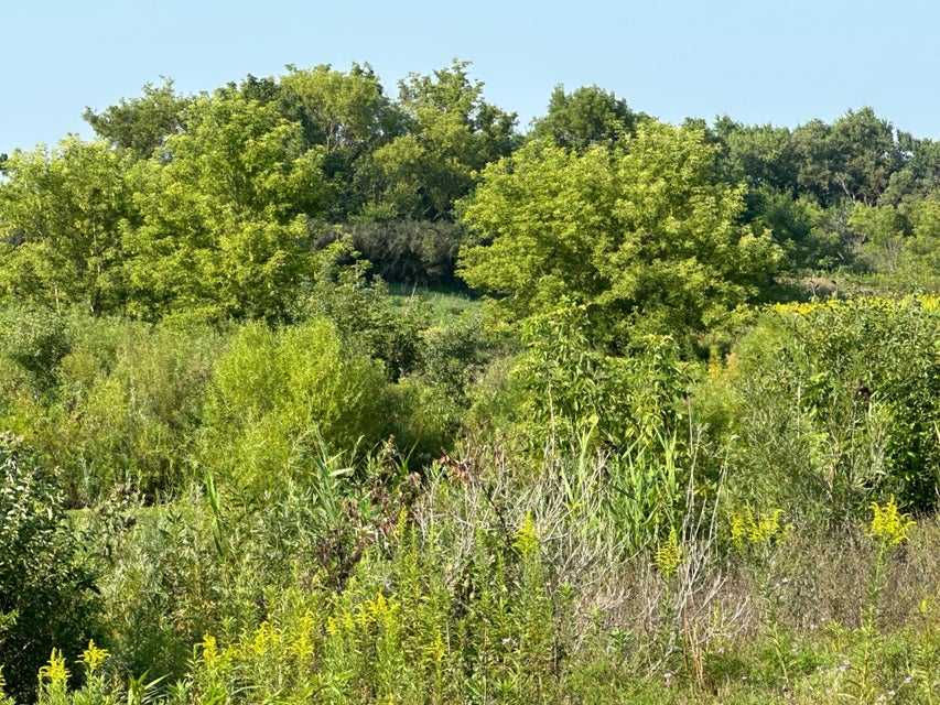 Lt 1 Evergreen Pkwy, Elkhorn, WI, USA, 53121  | Land/Lot