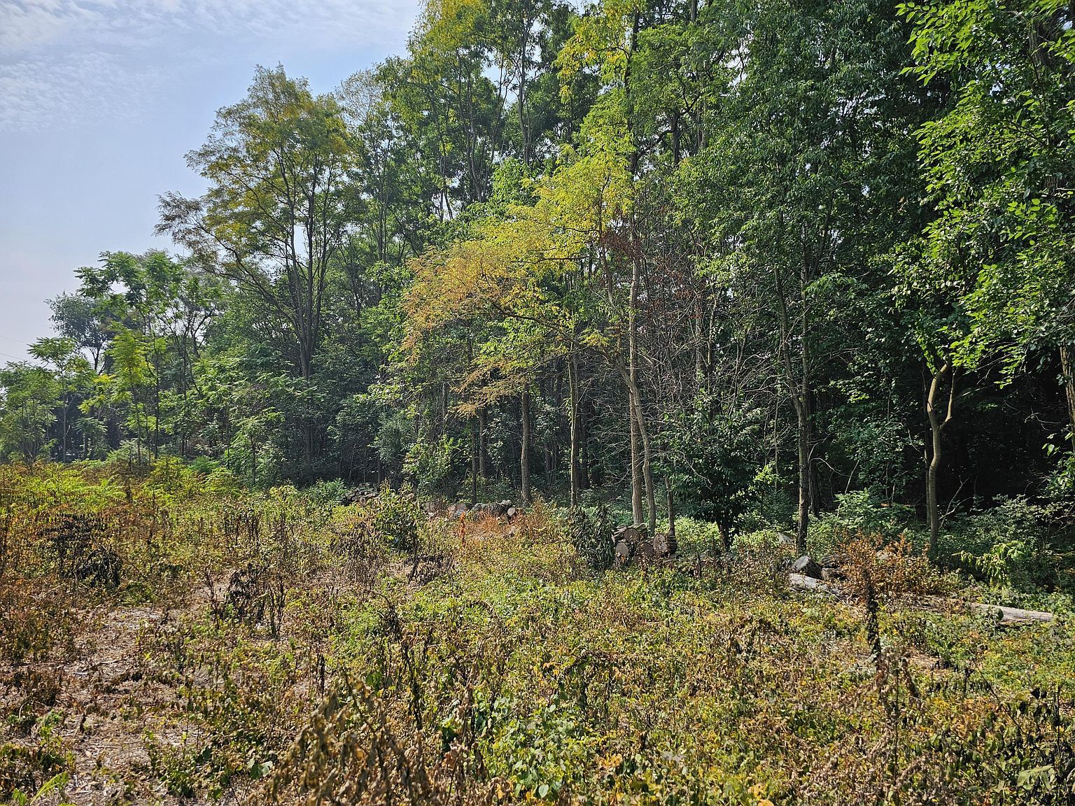 0 Short St Stevensville, MI 49127  | Land/Lot