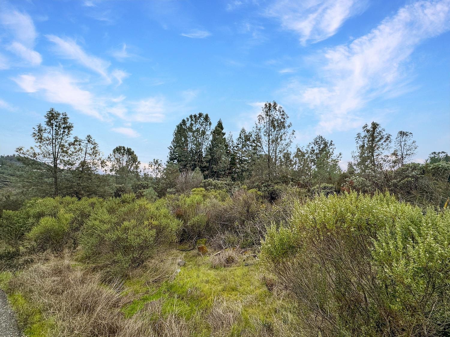 1111 Woodside Way Shingle Springs, CA 95682 | Land/Lot