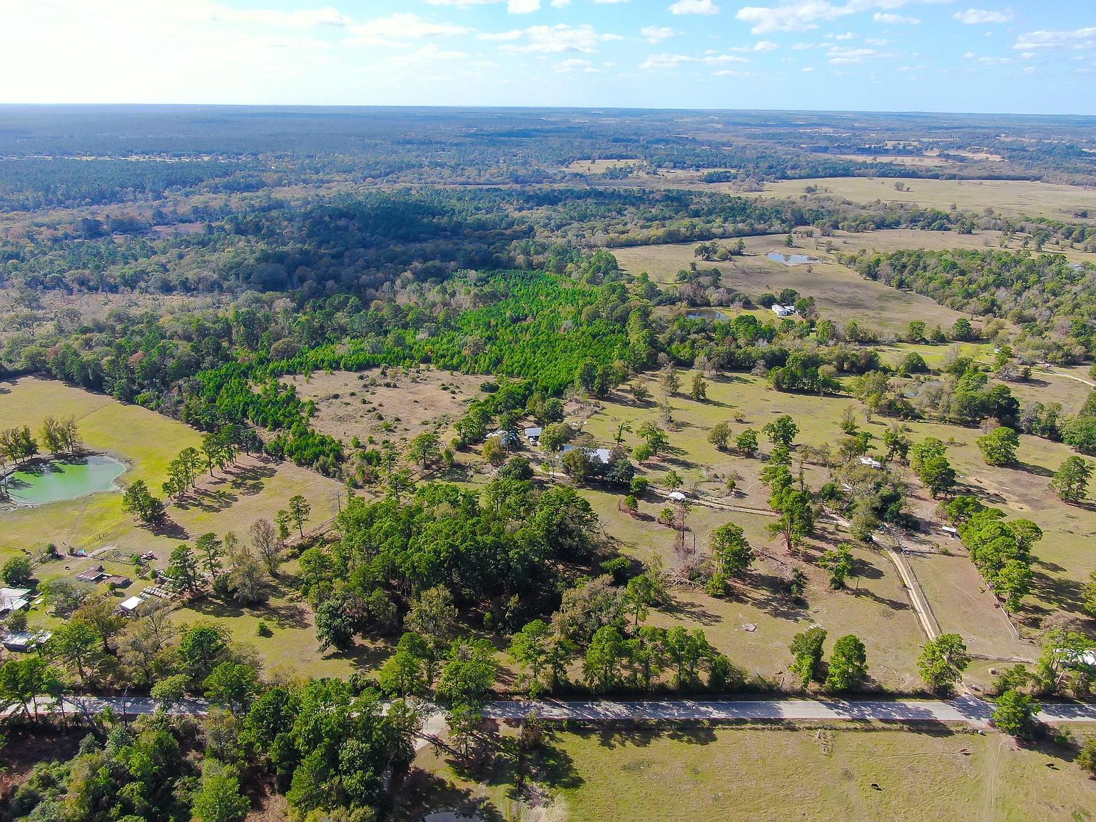 75 Spring Branch Rd Montgomery, TX 77316  | Land/Lot