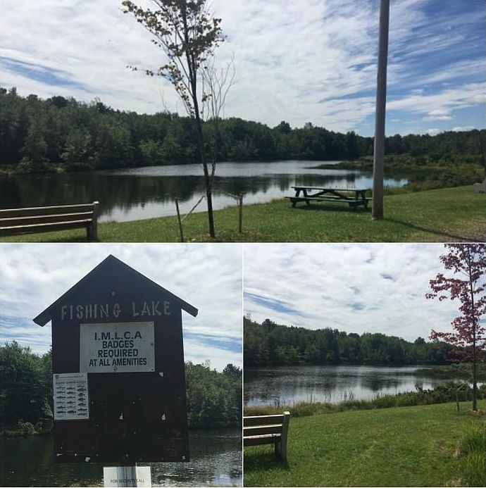 White Birch Way Albrightsville, PA 18210  | Land/Lot