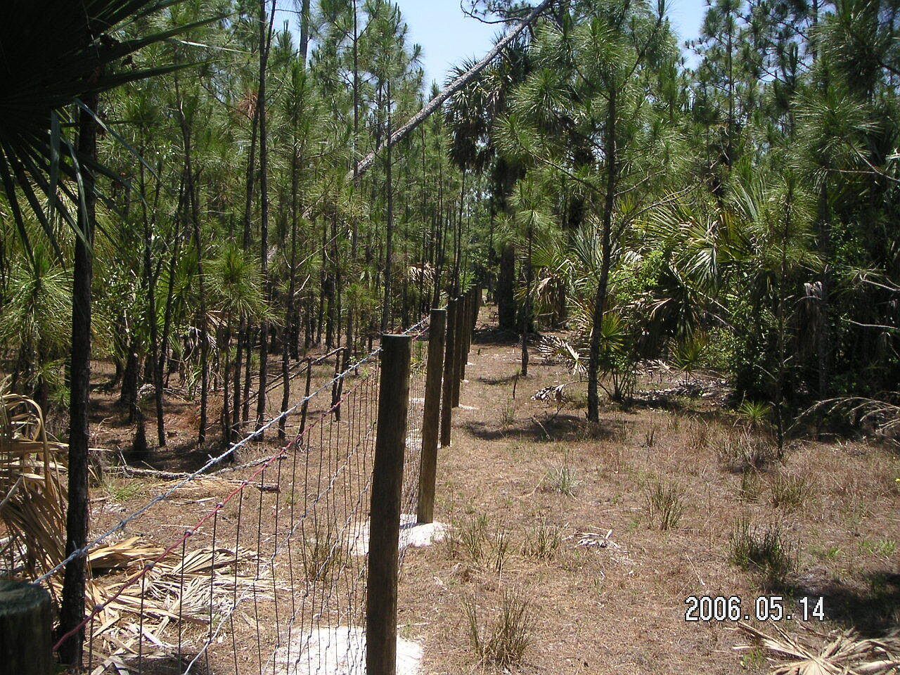 0 County Road 512 Fellsmere, FL 32948 | Land/Lot