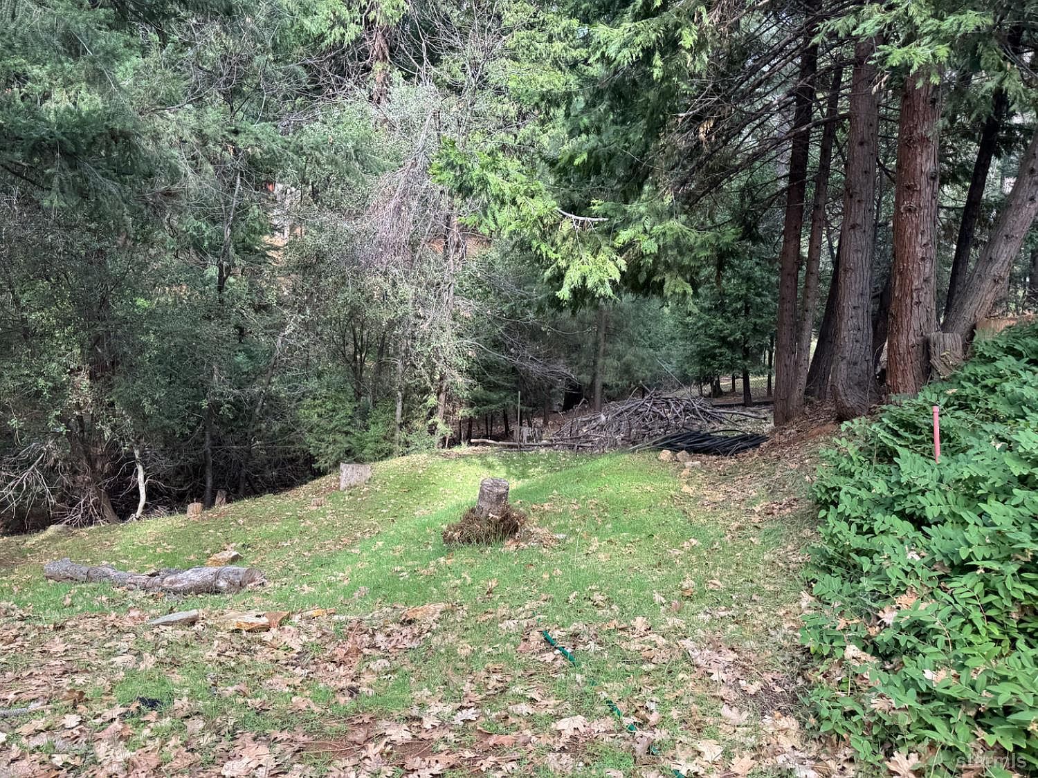 6001 Calico Ct Pollock Pines, CA 95726  | Single Family