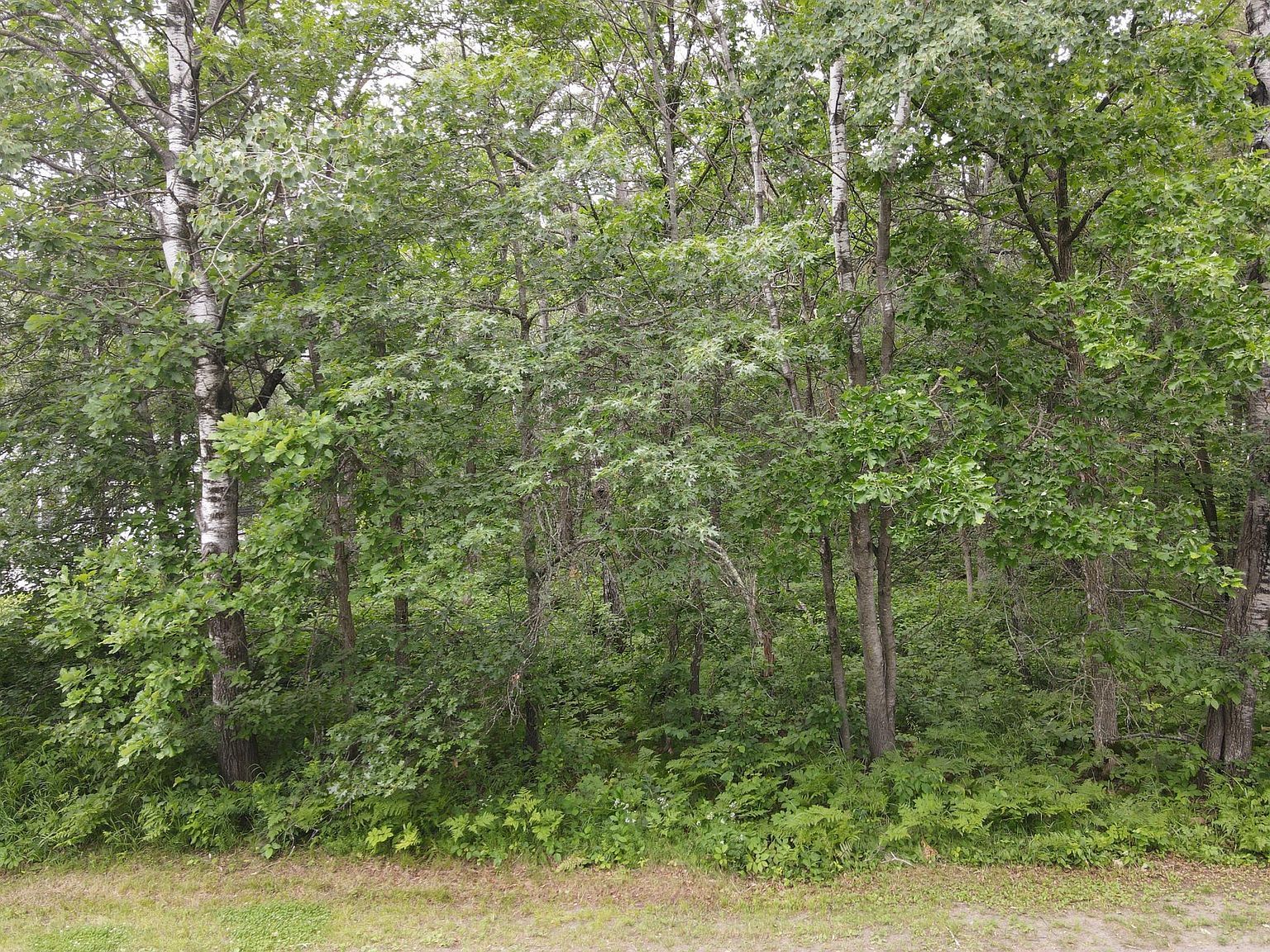 West St Pequot Lakes, MN 56472  | Land/Lot