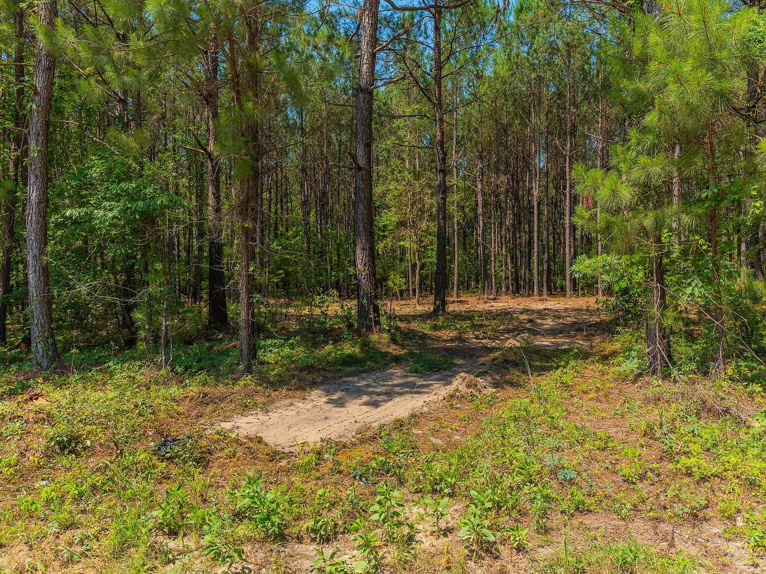 1 Murphy Bay Dr Cross, SC 29436  | Land/Lot