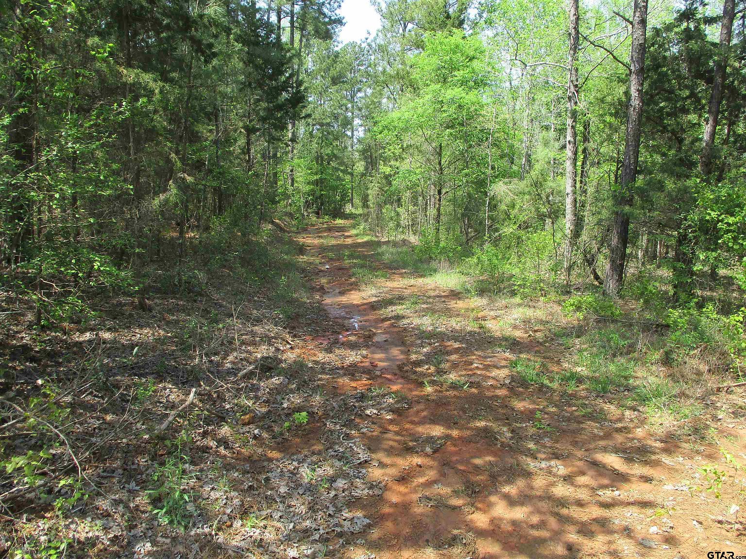 0 County Road 461 S Laneville, TX 75667  | Land/Lot