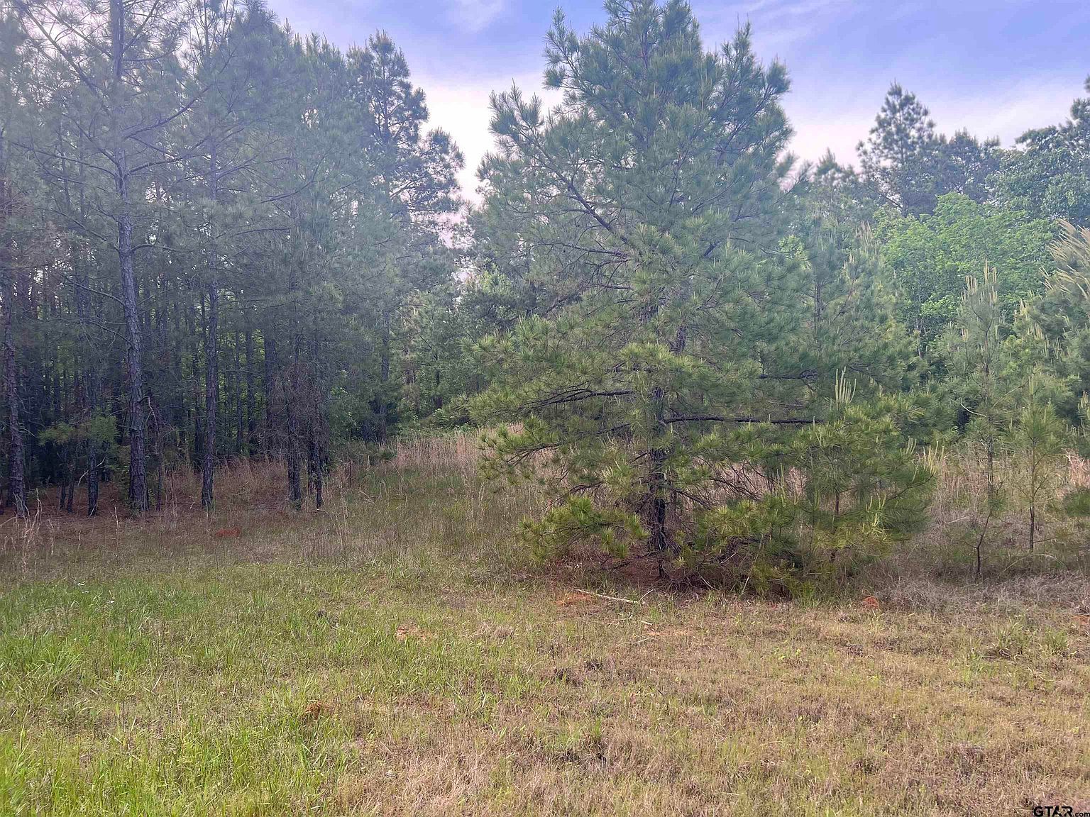 TRACT 2 County Road 477 W Henderson, TX 75654  | Land/Lot