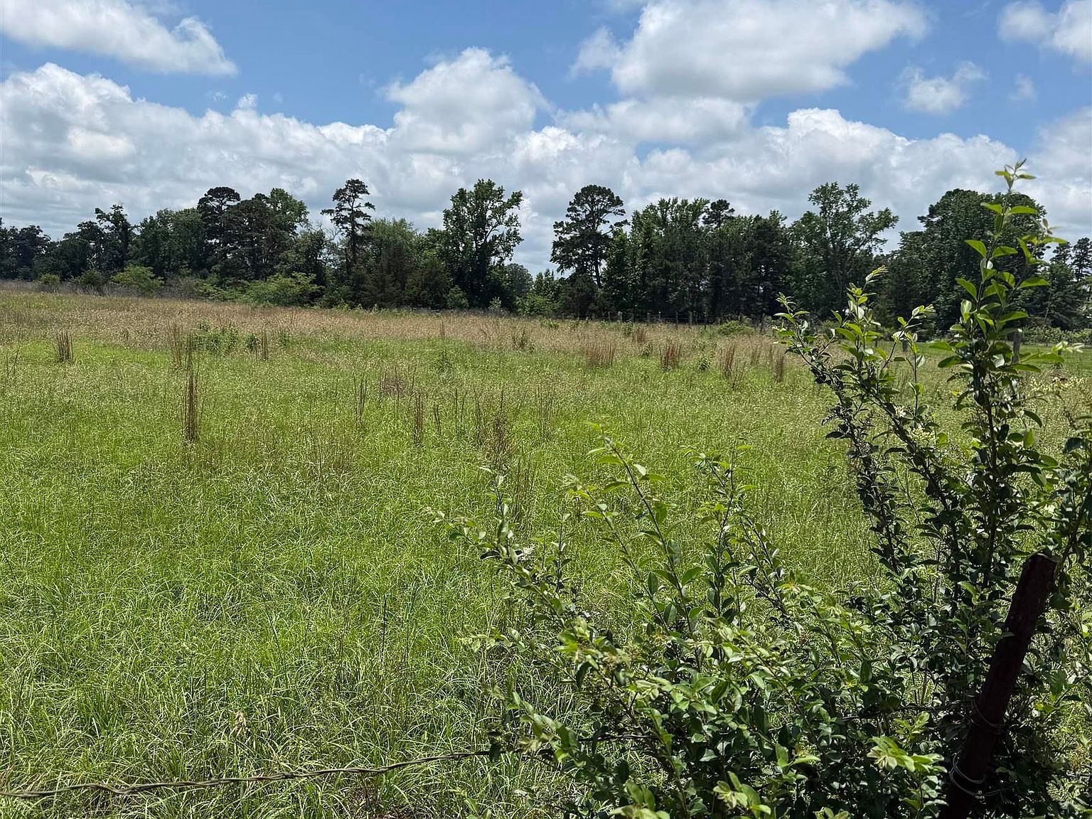 TRACT 3 County Road 2168 Troup, TX 75789  | Land/Lot