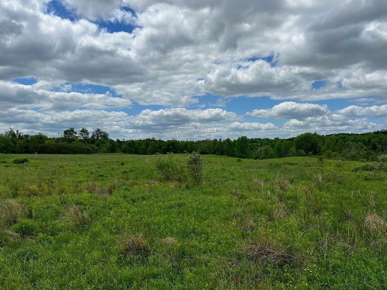 Map 36 Off Ridge Rd LOT 13 Fairfield, ME 04937 | Land/Lot