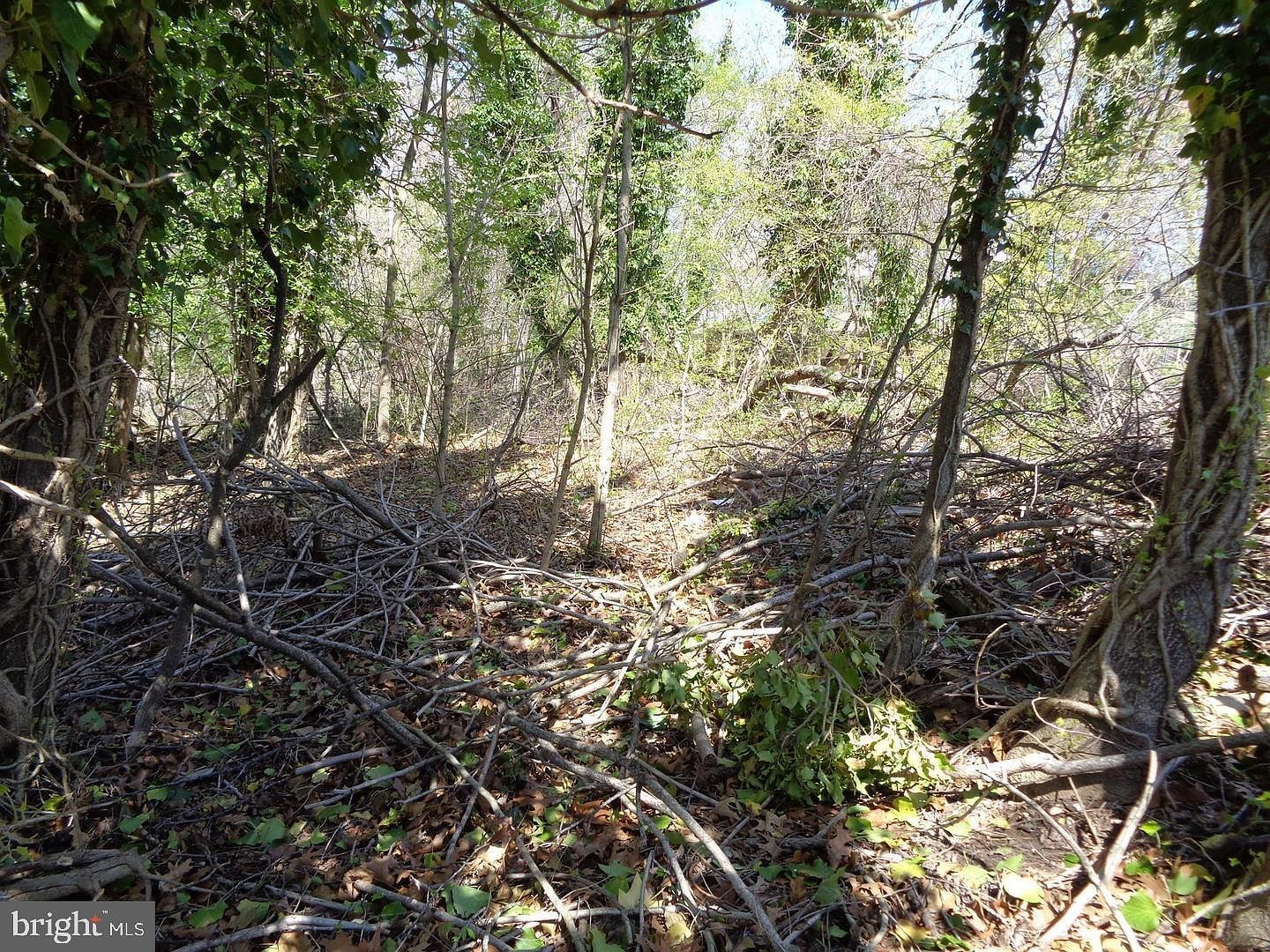 0 Piscataway Rd Clinton, MD 20735 | Land/Lot