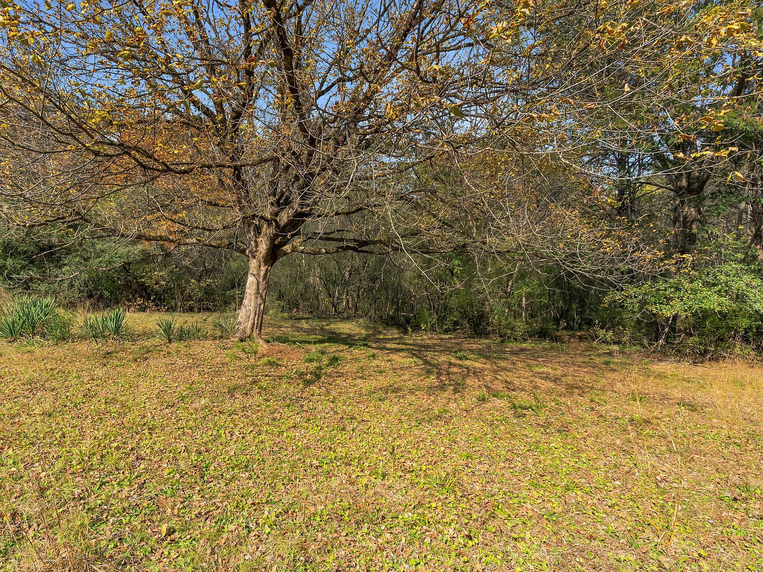 733 Ray Ln Hixson, TN 37343  | Land/Lot