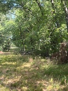 County Road 1180 Cooper, TX 75432  | Land/Lot