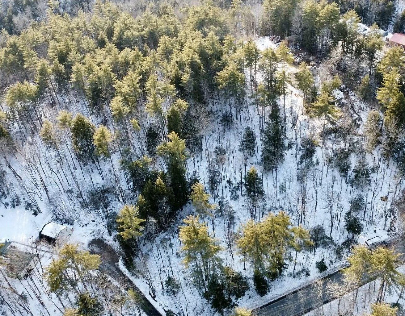 65 Ossipee Mountain Rd Center Ossipee, NH 03814 | Land/Lot