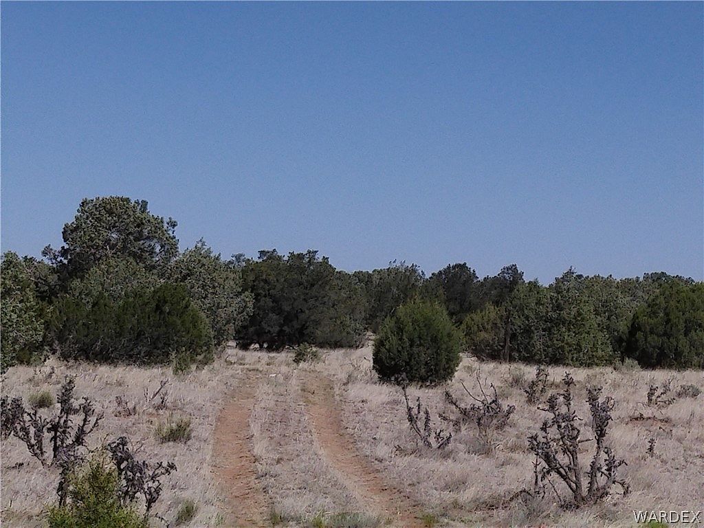 147 W Antelope Run Rd Seligman, AZ 86337  | Land/Lot