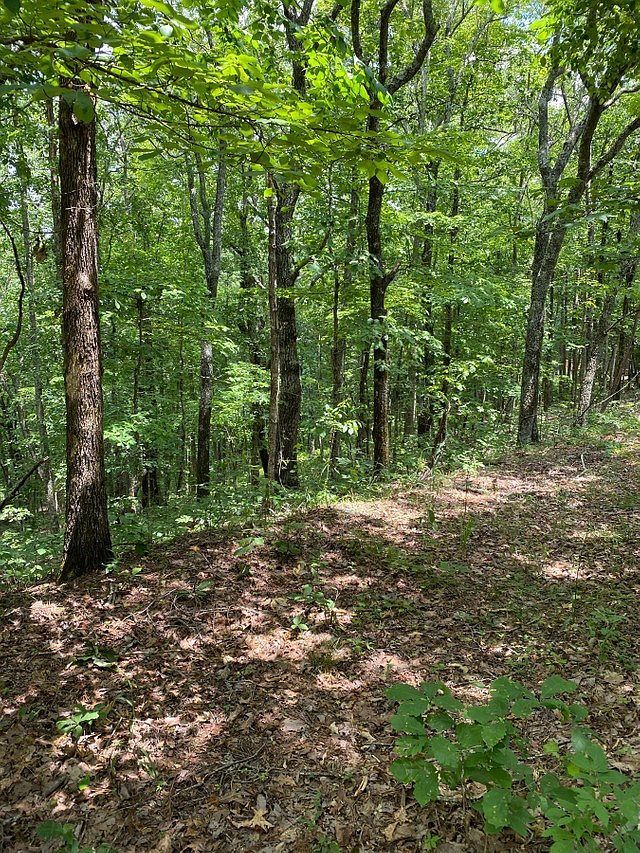 Lots 8 & 9 Mountain Ridge Dr Waverly Hall, GA 31831  | Land/Lot