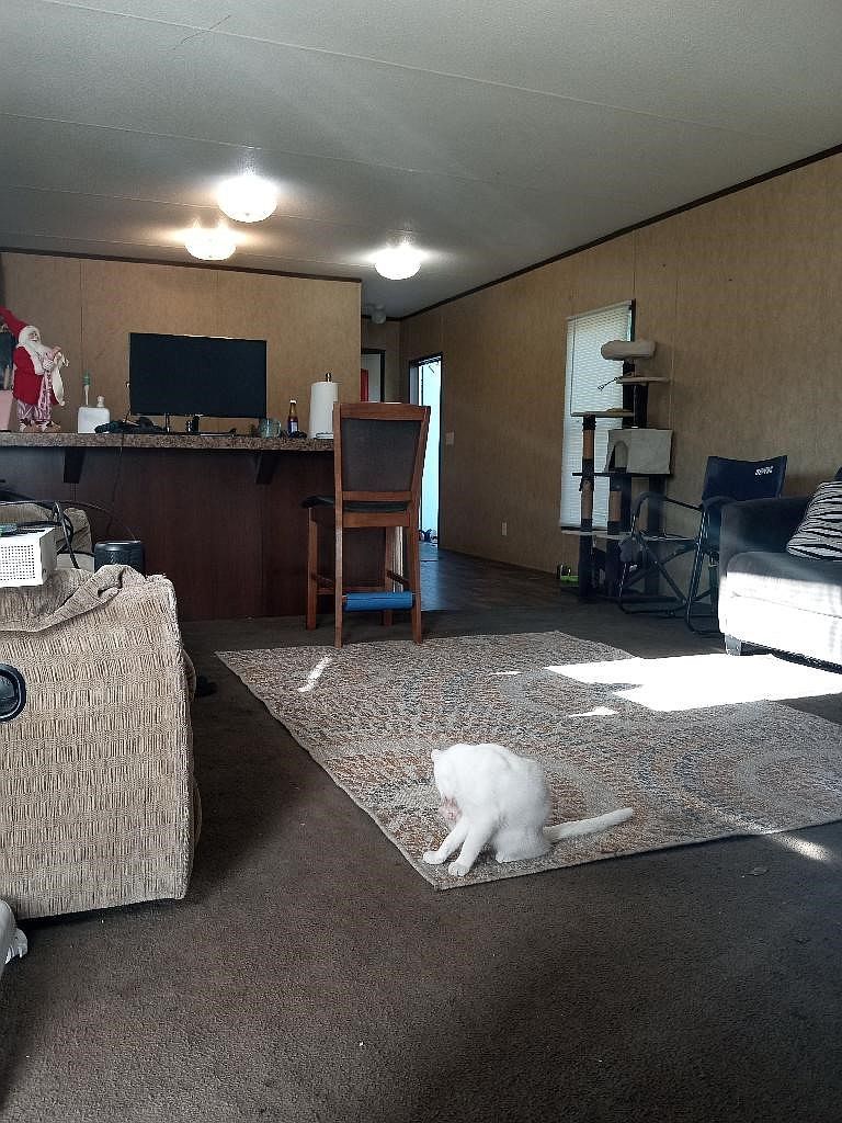 194 Diana Dr Rockwall, TX 75032  | New build