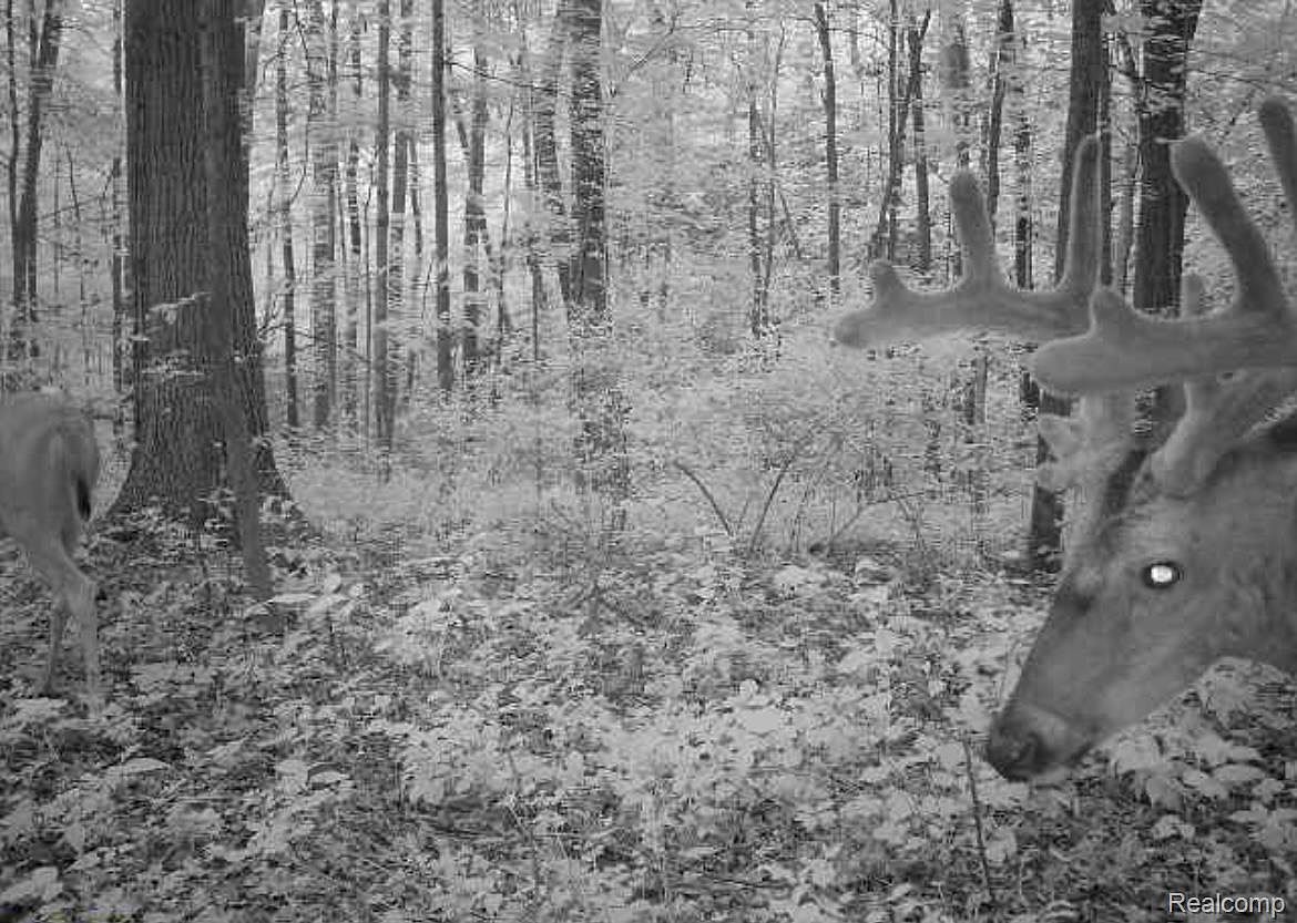 6065 Victoria Dr Fenton, MI 48430  | Land/Lot