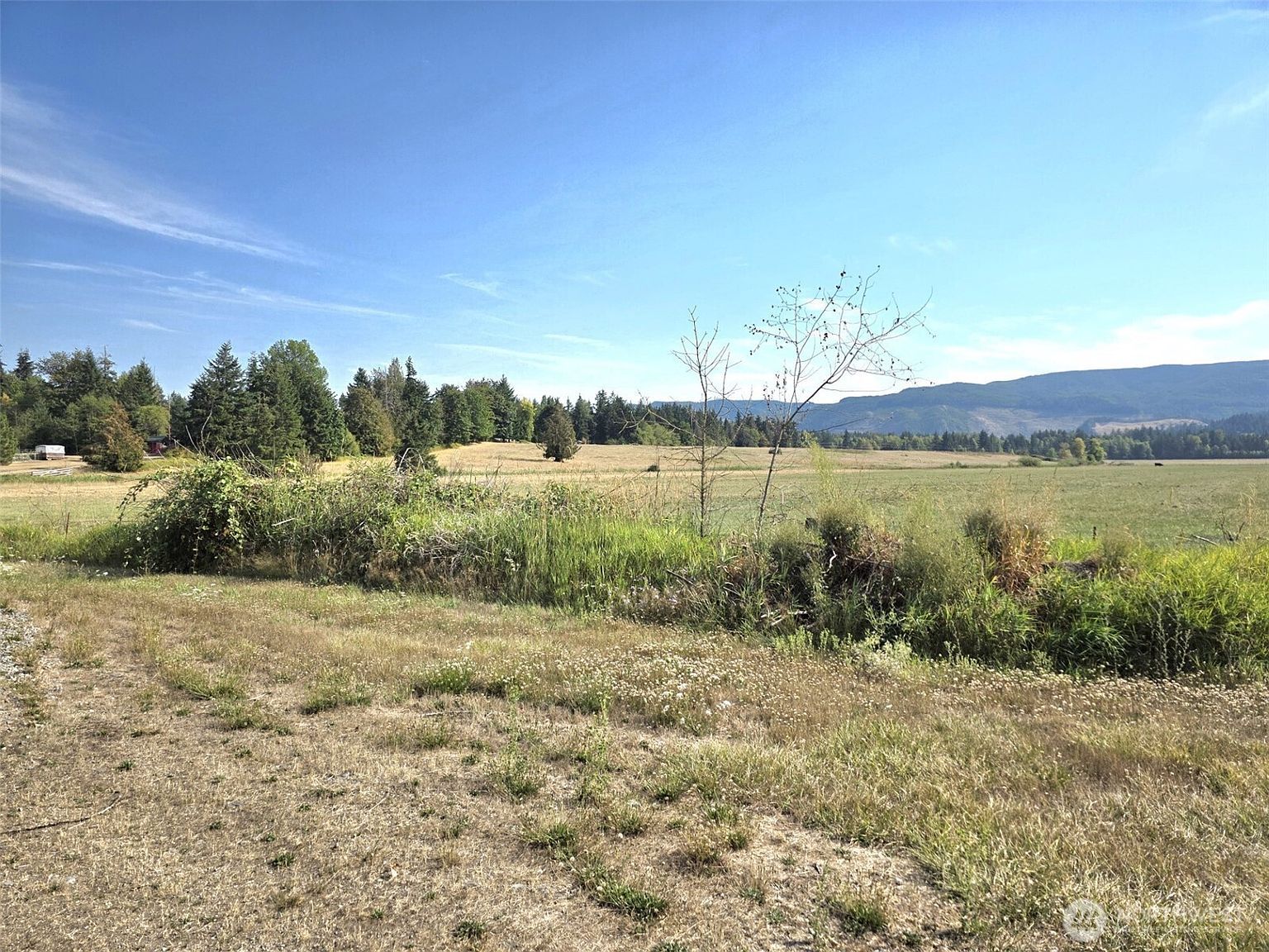 19441 Cougar Mountain Airport Rd SE Yelm, WA 98597 | Land/Lot