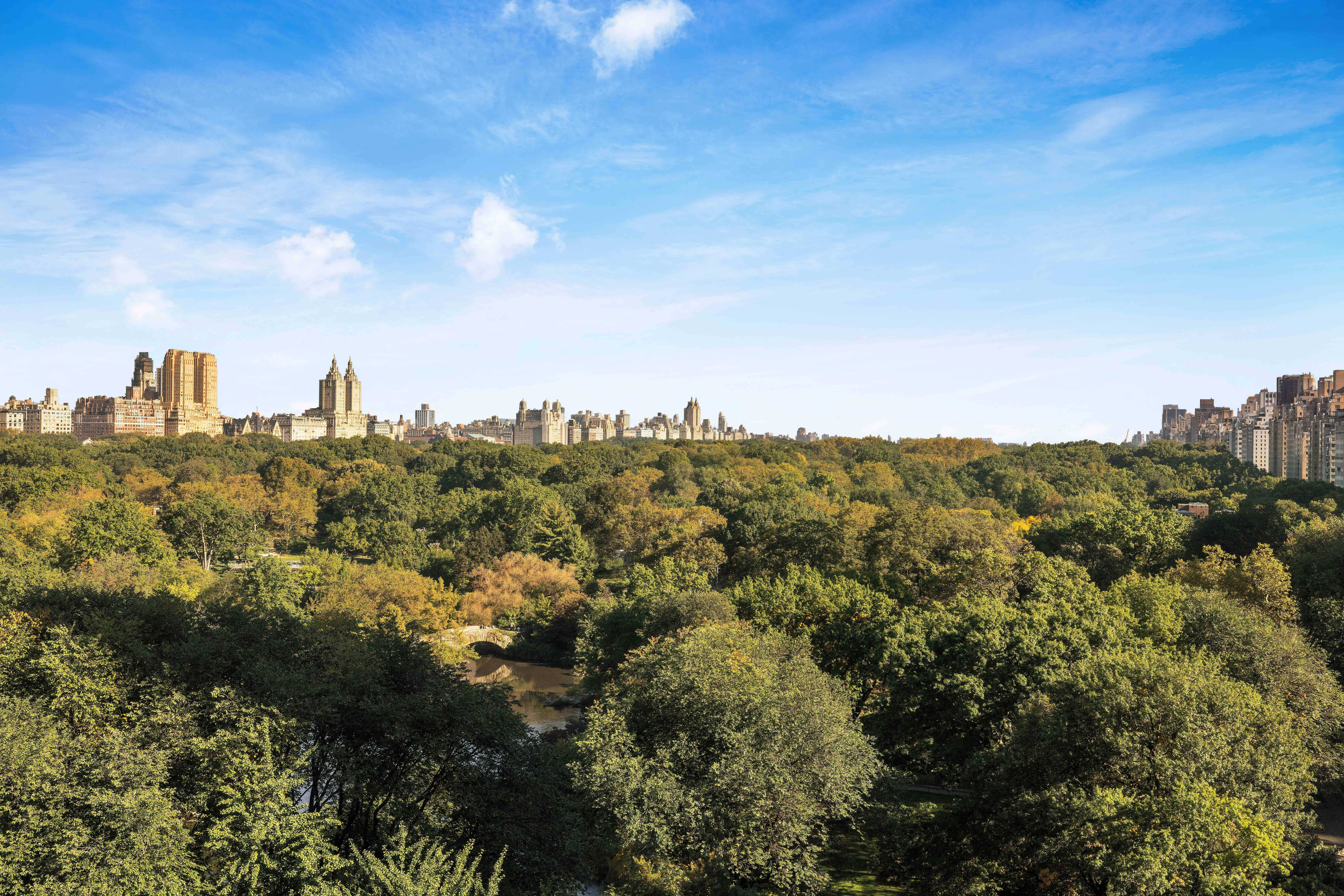 1 Central Park South apt 909, New York, NY, USA, 10019 | Condominium