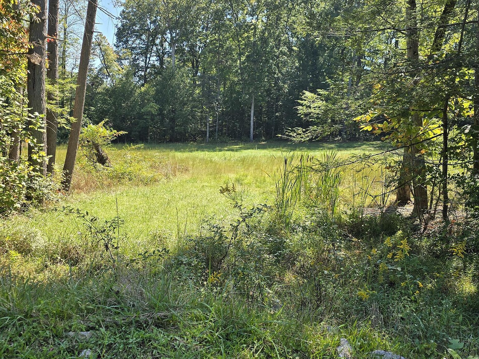 LOT 329 Riva Ridge Trl #A Corbin, KY 40701  | Land/Lot