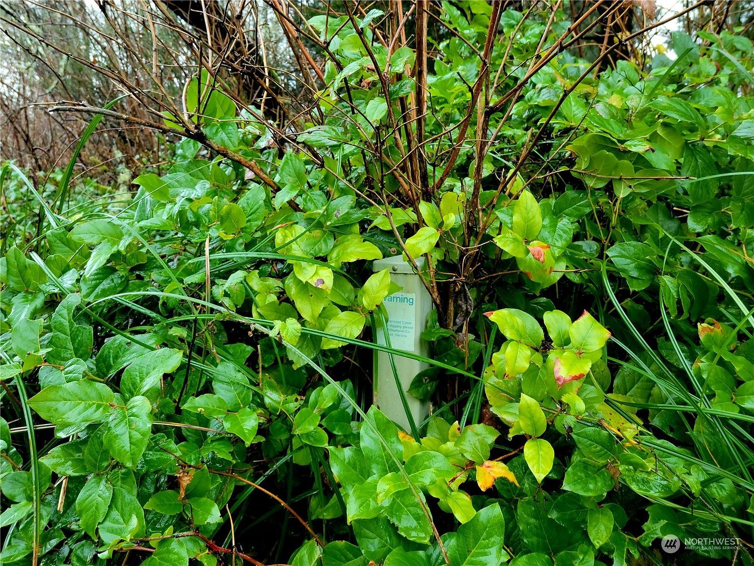 821 Duck Lake Dr NE Ocean Shores, WA 98569  | Land/Lot