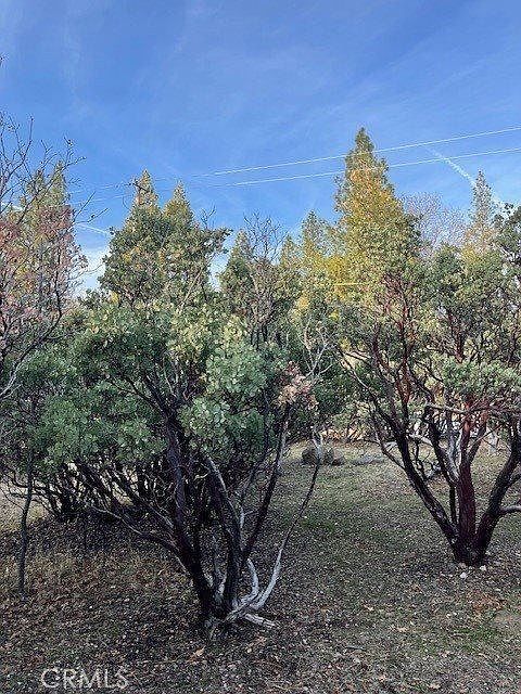 6172 Shad Way Pollock Pines, CA 95726  | Land/Lot