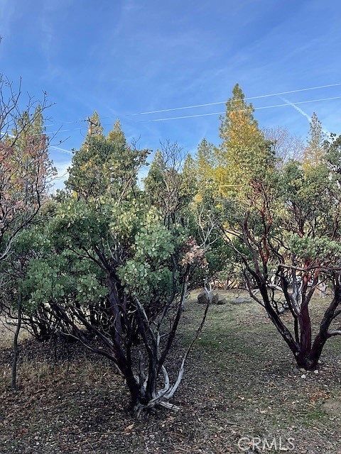 6172 Shad Way #47 Pollock Pines, CA 95726  | Land/Lot