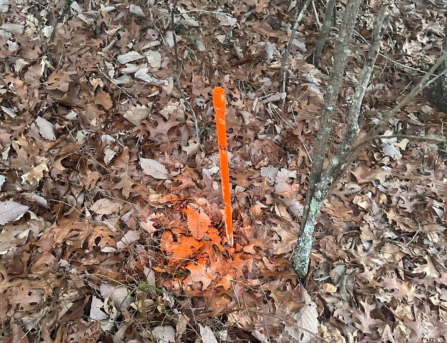 LOT 37 Green Ridge Trl Harriman, TN 37748  | Land/Lot