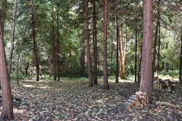 11499 Lower Pine Hill Drive, Grass Valley, CA, USA, 95945  | Land/Lot