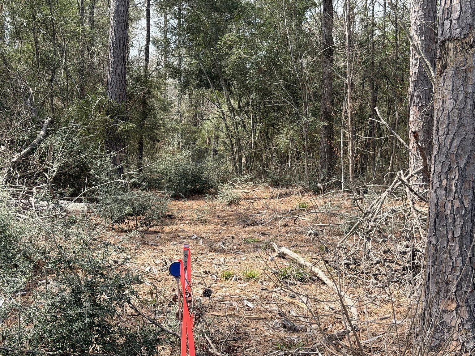 11792 Inspiration Dr Willis, TX 77378  | Land/Lot